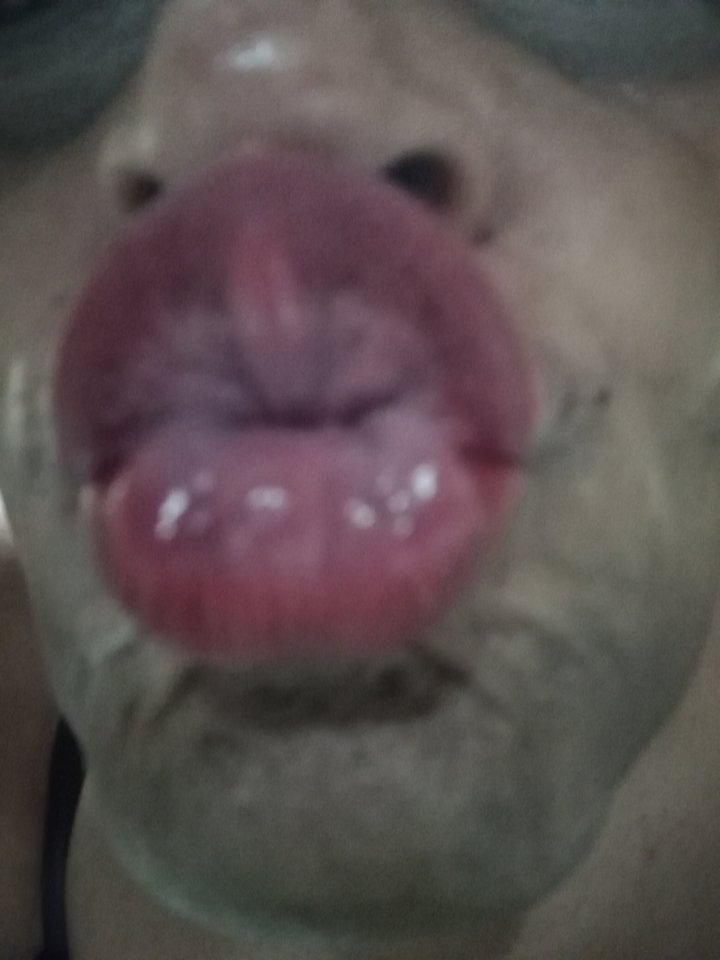 IMG_20180726_002559.jpg - lickemydick