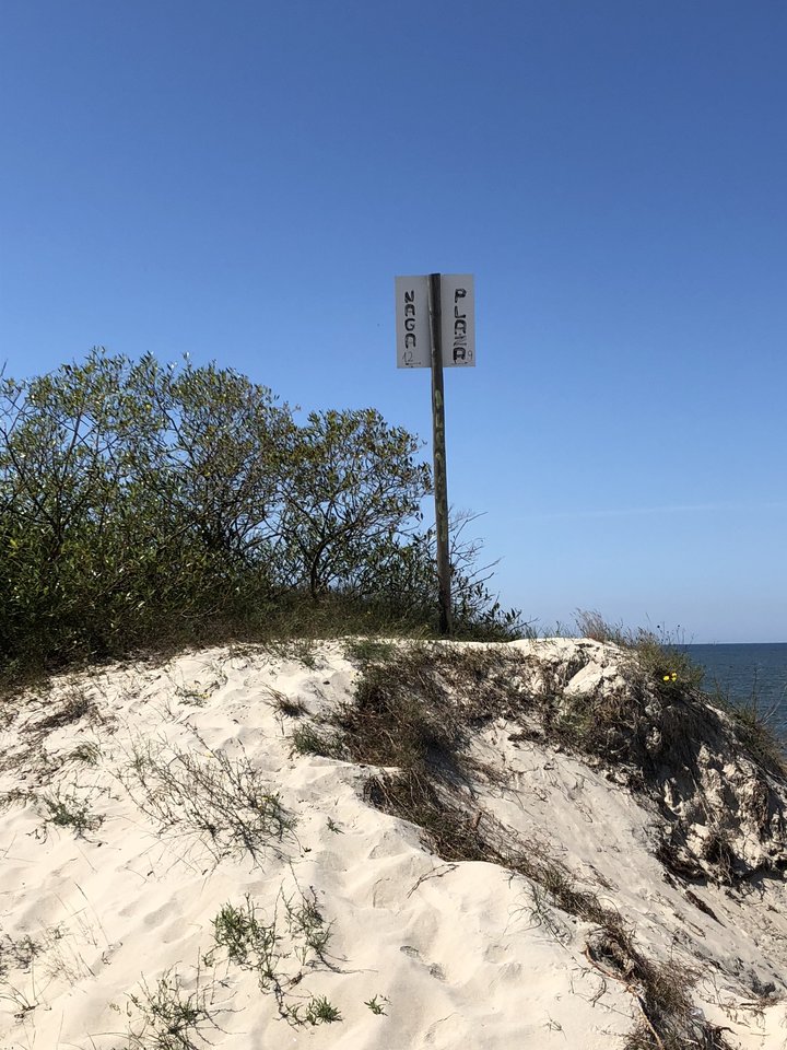 I stało się, po raz pierwszy:) - andrzejfi