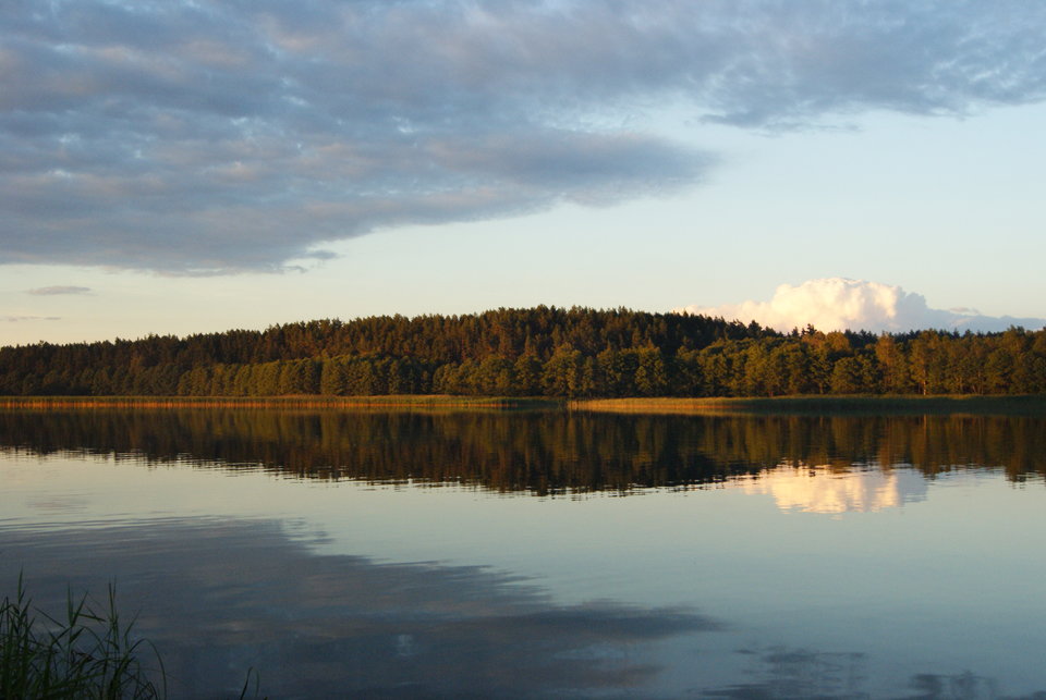 DSC01111.JPG - ck_roburek