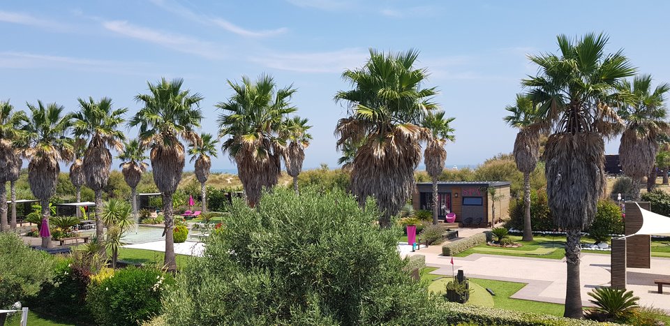 20180727_144428.jpg - pawdor