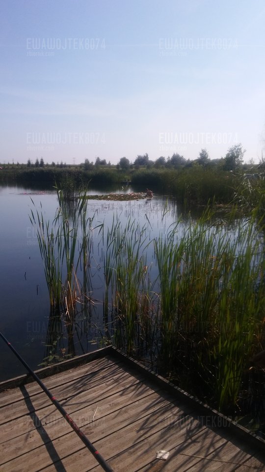 20180728_092459.jpg - ewawojtek8074