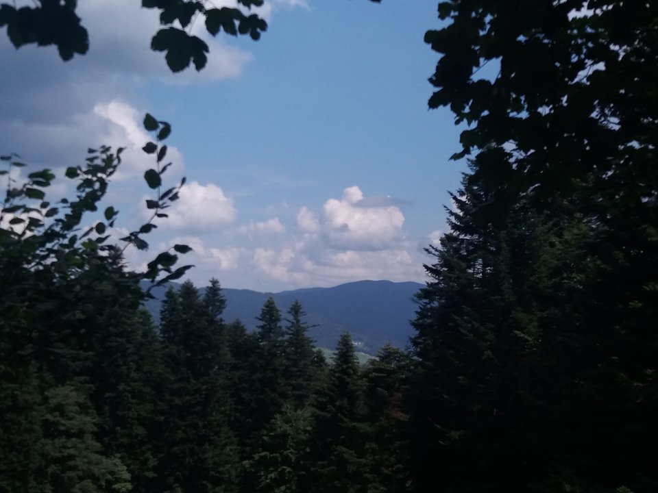 20180728_121348.jpg - UpojeniSexsem