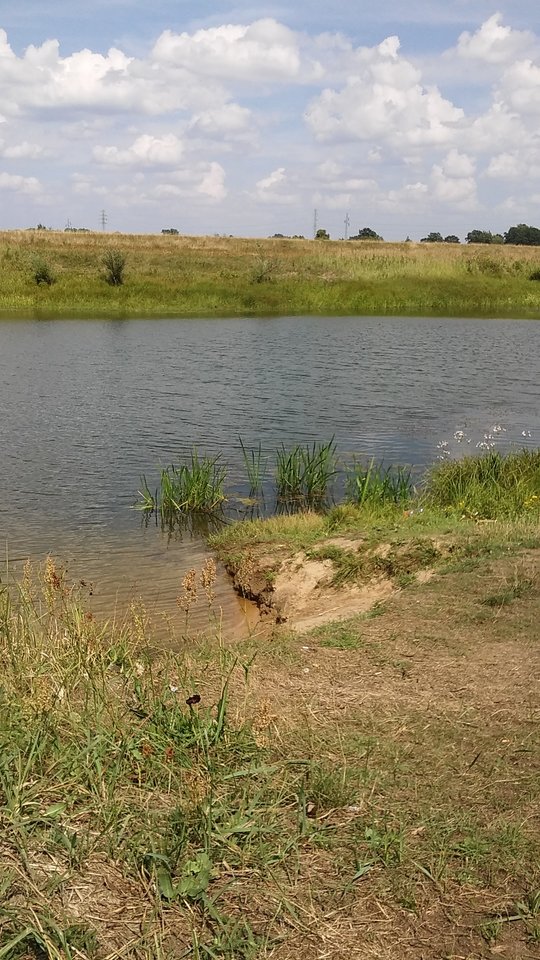 1532779890545596227054.jpg - Aaacipkiszukam