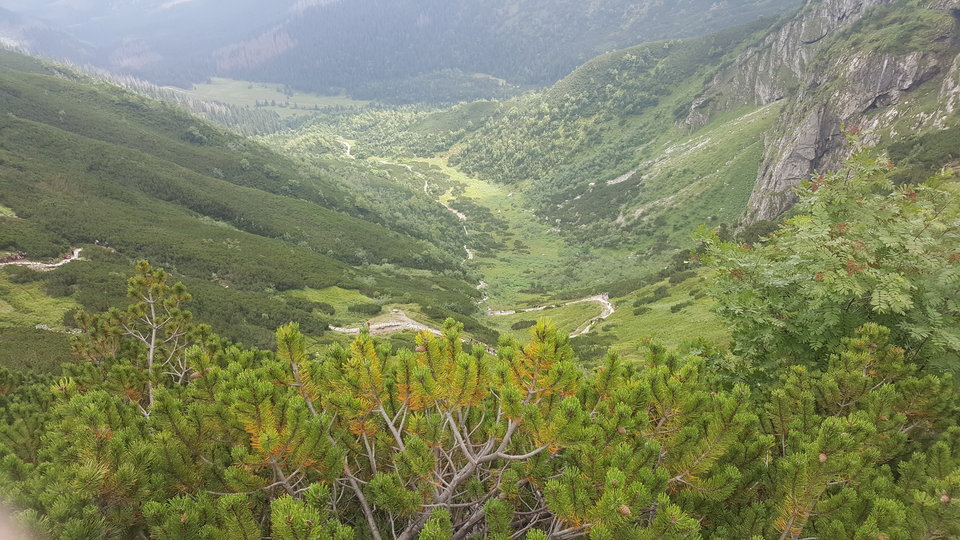 20180727_110957.jpg - CUBUT