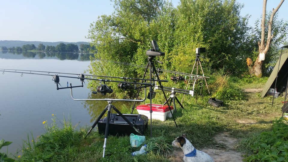 20180729_081643.jpg - hoop1