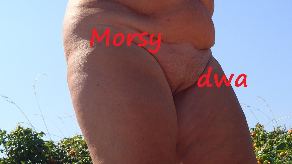 Książka - Morsy_dwa