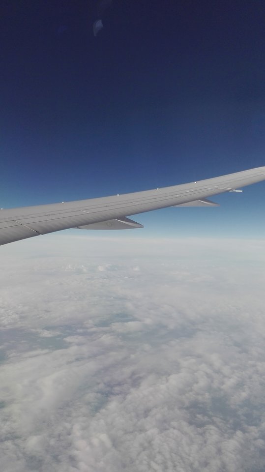 IMG_20180730_075030.jpg - Malzenstwozpaniabi