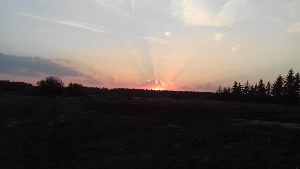 20180730_202526.jpg - invader__