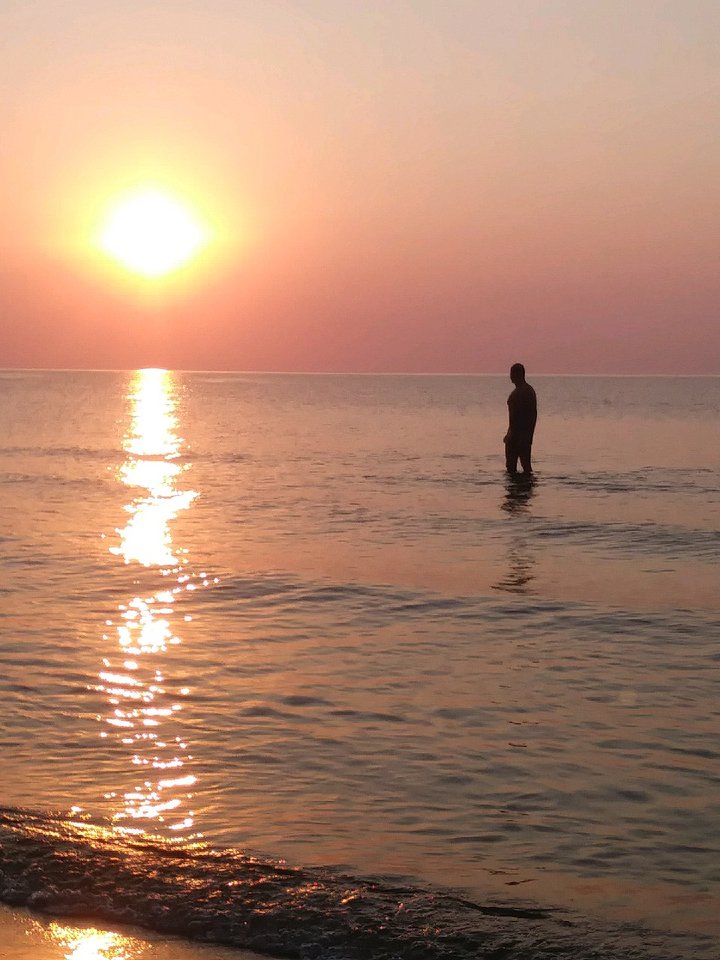 20180731_200840.jpg - agarad30