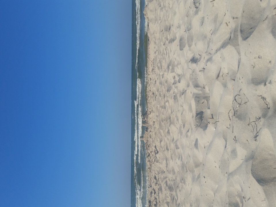 20180725_160514.jpg - Dante888