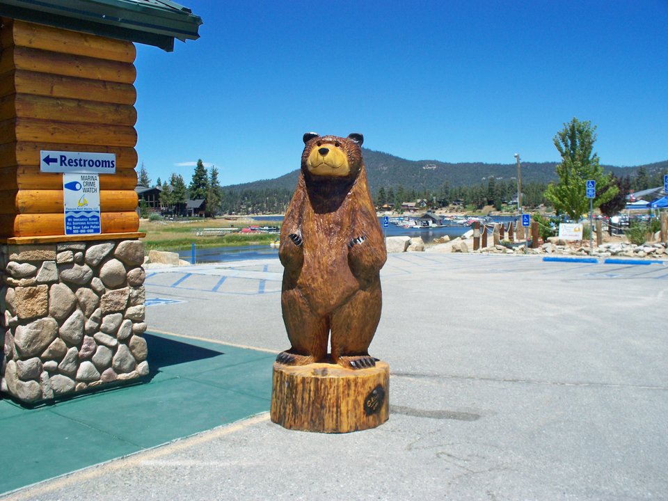 100_2585.JPG - arizonski