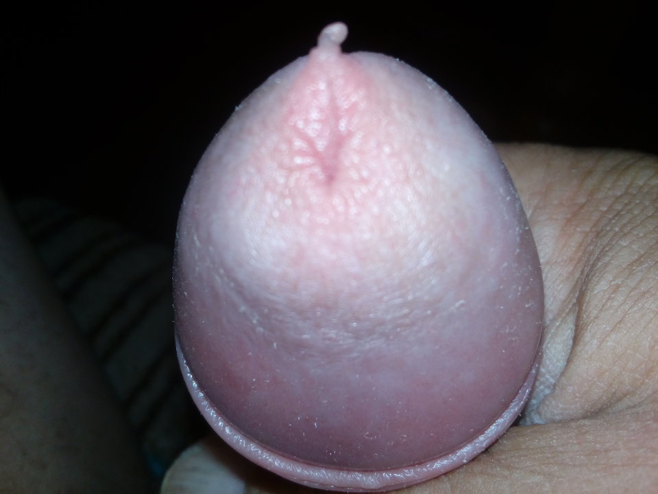 1533325208051-2071913177.jpg - matuzalem000