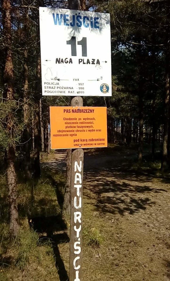 received_1765996426852610.jpeg - gucio67