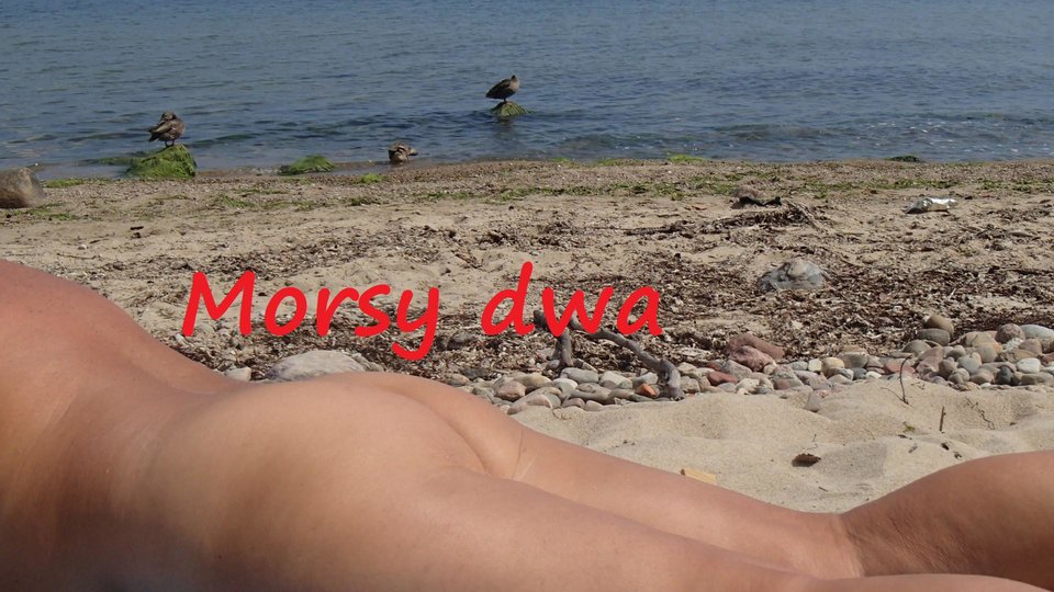 Nad morzem. - Morsy_dwa