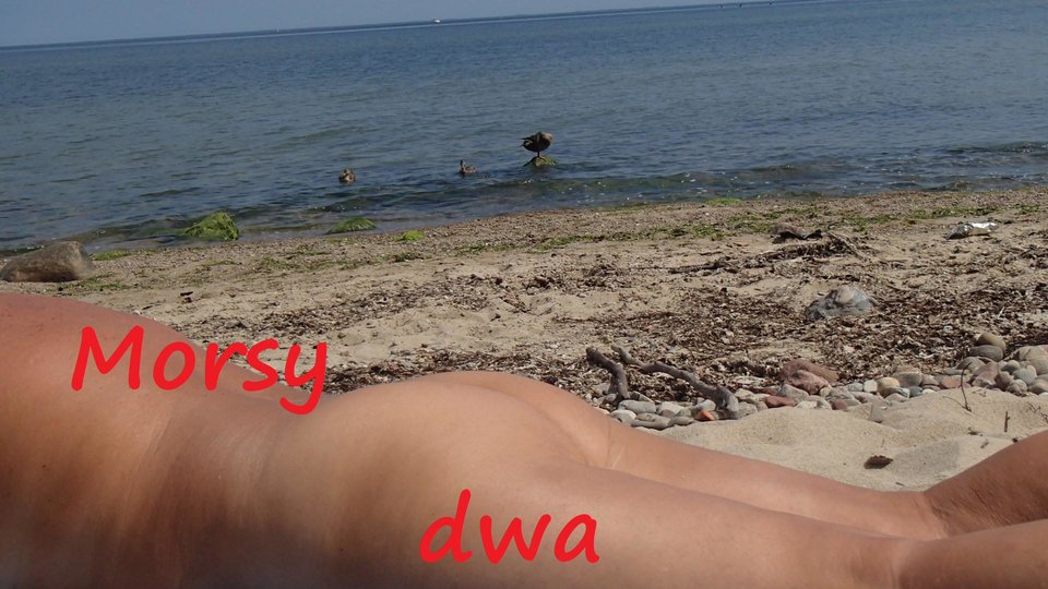 Nad morzem. - Morsy_dwa