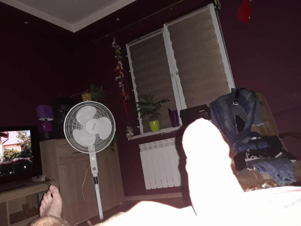 1533431734055760140444.jpg - koloman01