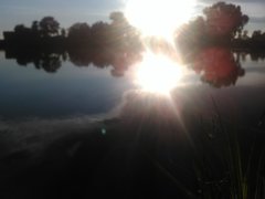 IMG_20180626_201321.jpg