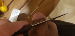 20180805_212636.jpg