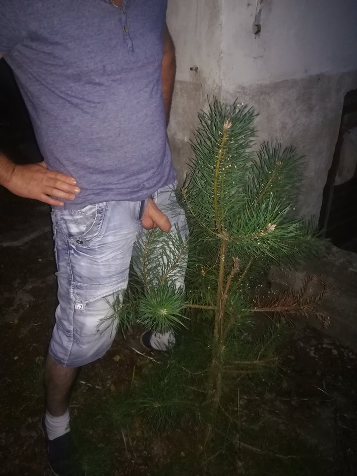 IMG_20180805_211131.jpg - mikaislaw