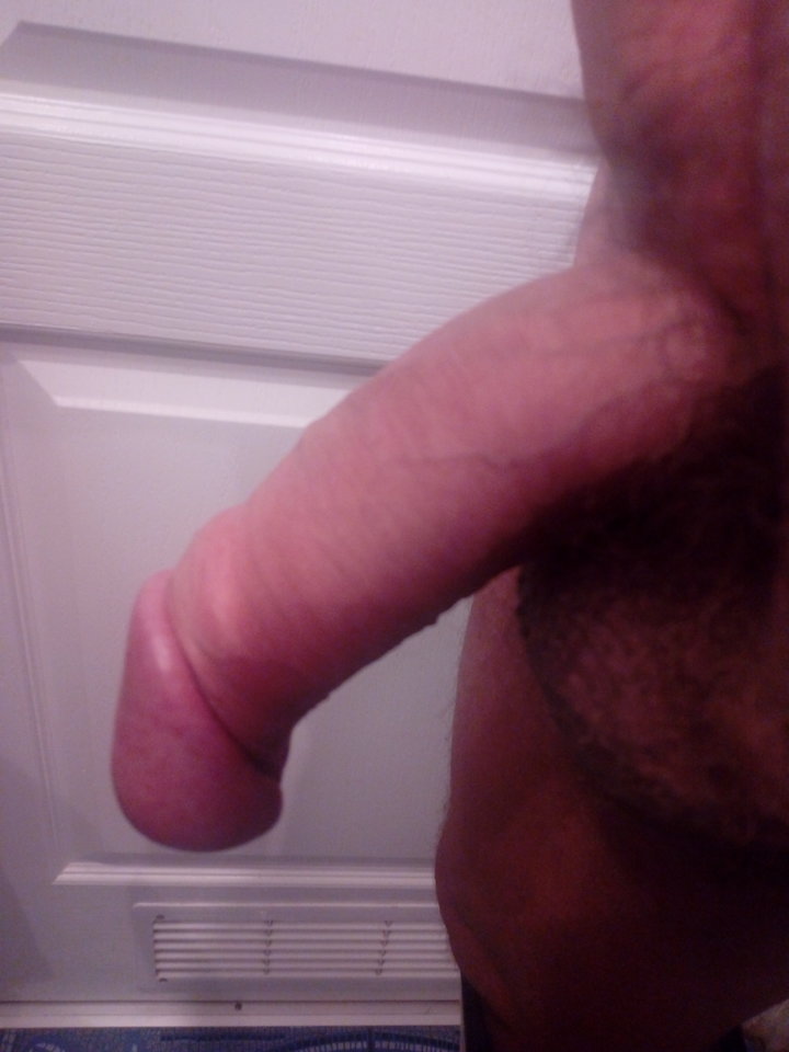 IMG_20180806_082136104724406.jpg - Harnas1179