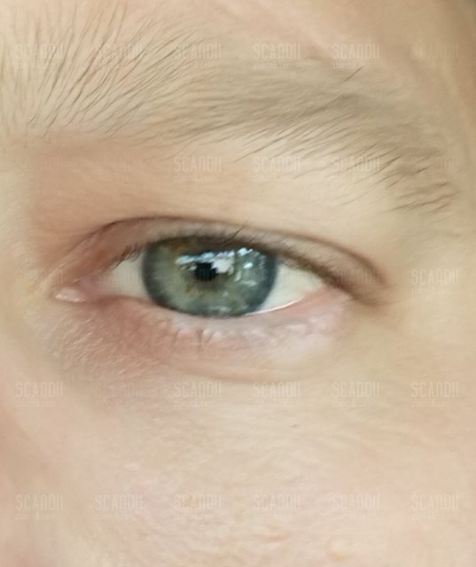 _20180806_215502.JPG - Scandii