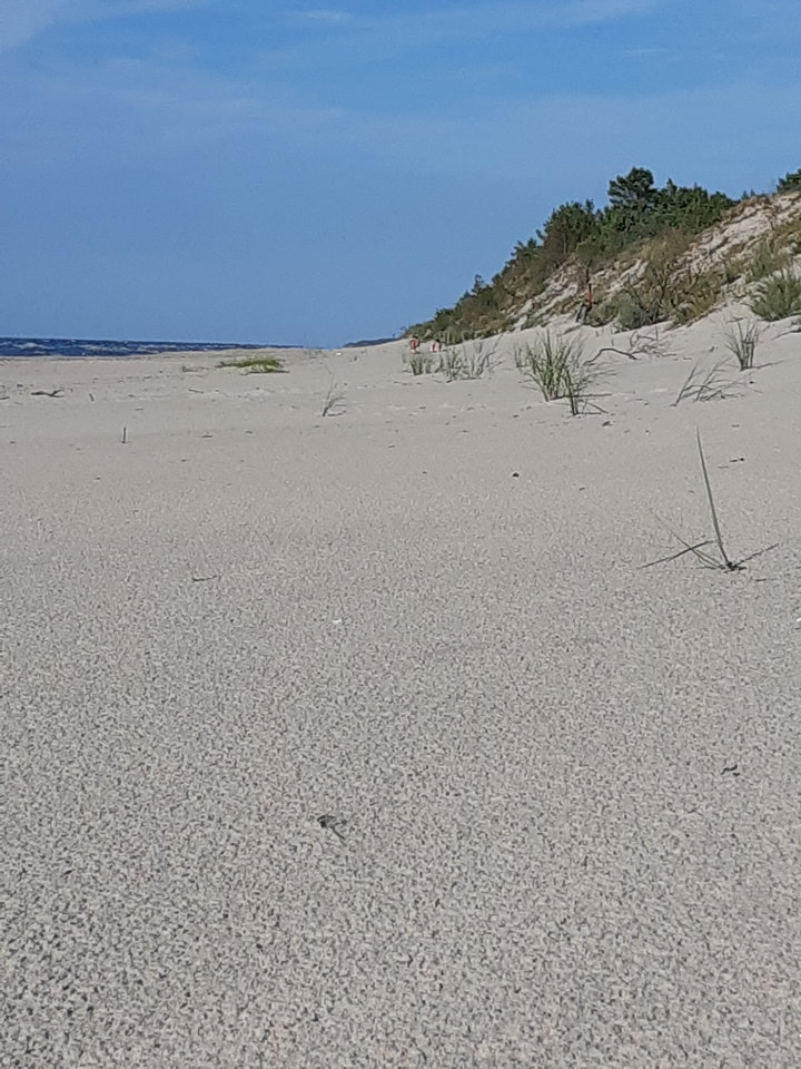 20180806_182216.jpg - mlody1277