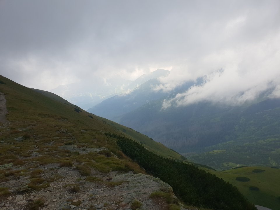 20180723_124417.jpg - ZakazanaStrefa