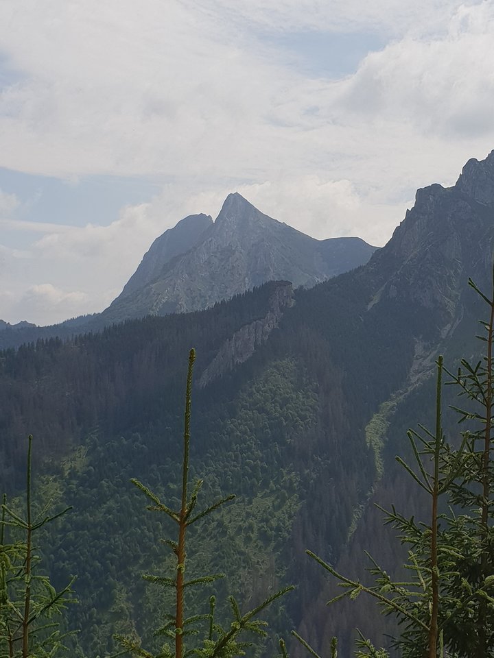 20180724_102152.jpg - ZakazanaStrefa