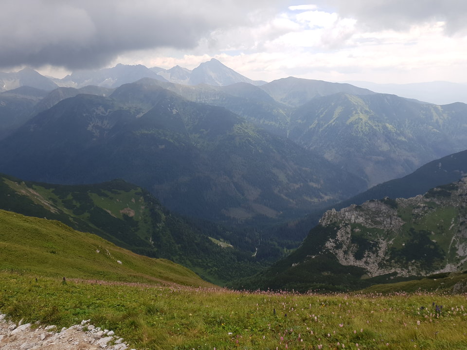 20180724_131325.jpg - ZakazanaStrefa