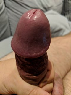 MVIMG_20180807_205302.jpg