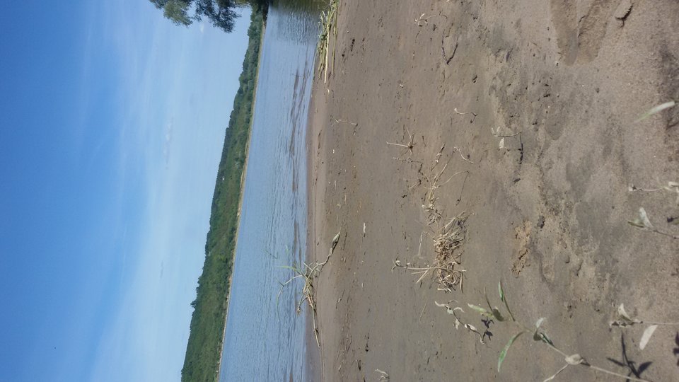 20180807_123440.jpg - skromny9