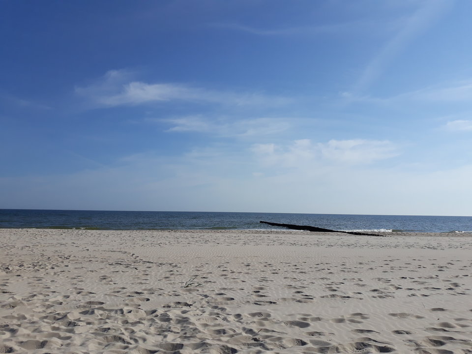 20180722_085055.jpg - paraolsztyn11