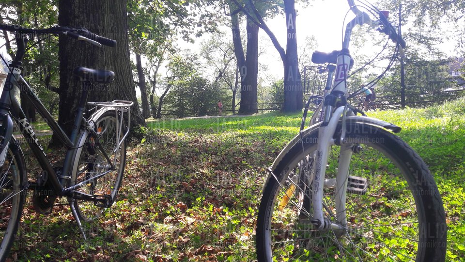 20180801_150544.jpg - JALI9