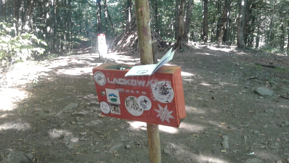 20180807_081854.jpg - CCC76