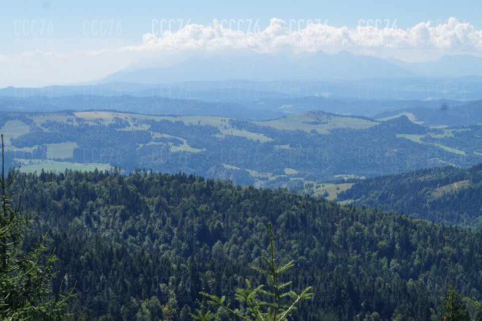 DSC03669.JPG - CCC76