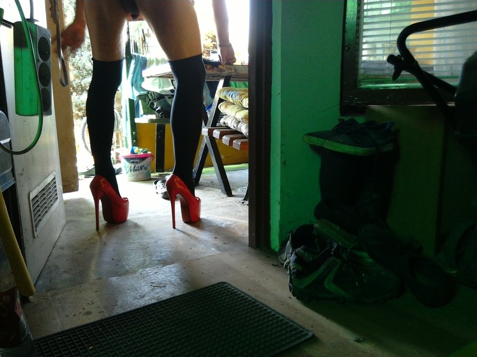 IMG_20180811_090121.jpg - unialeszno