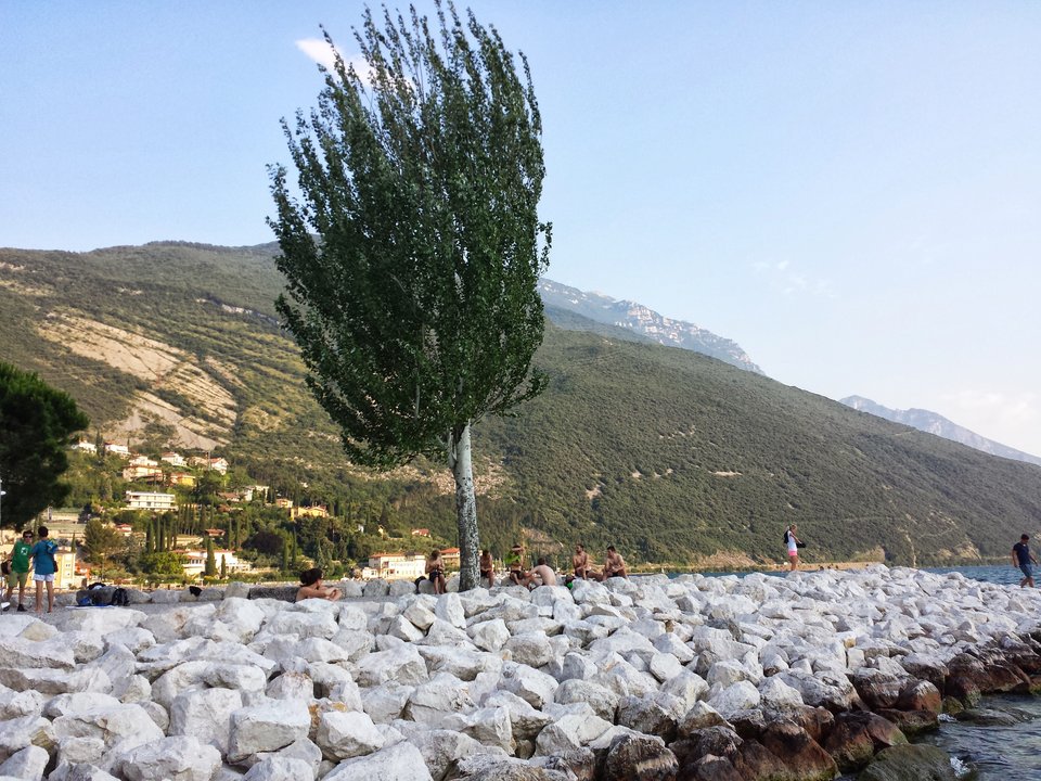 ABCCFDB0-9D9F-4DCC-97C8-9BB2C5A375BA.jpeg - pawelsolt