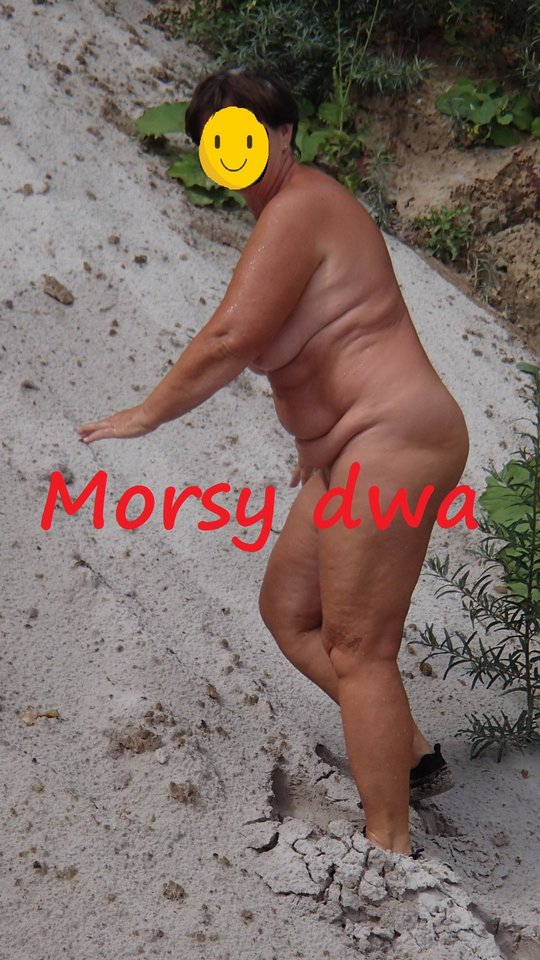 Plaża. - Morsy_dwa