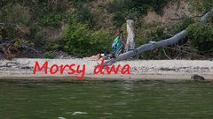 Plaża.