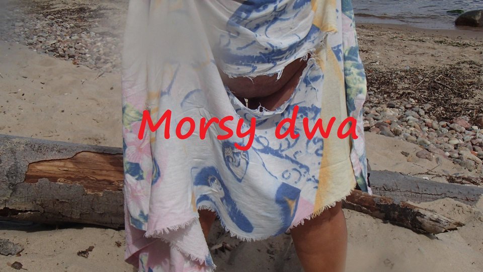 Babie Doły. - Morsy_dwa