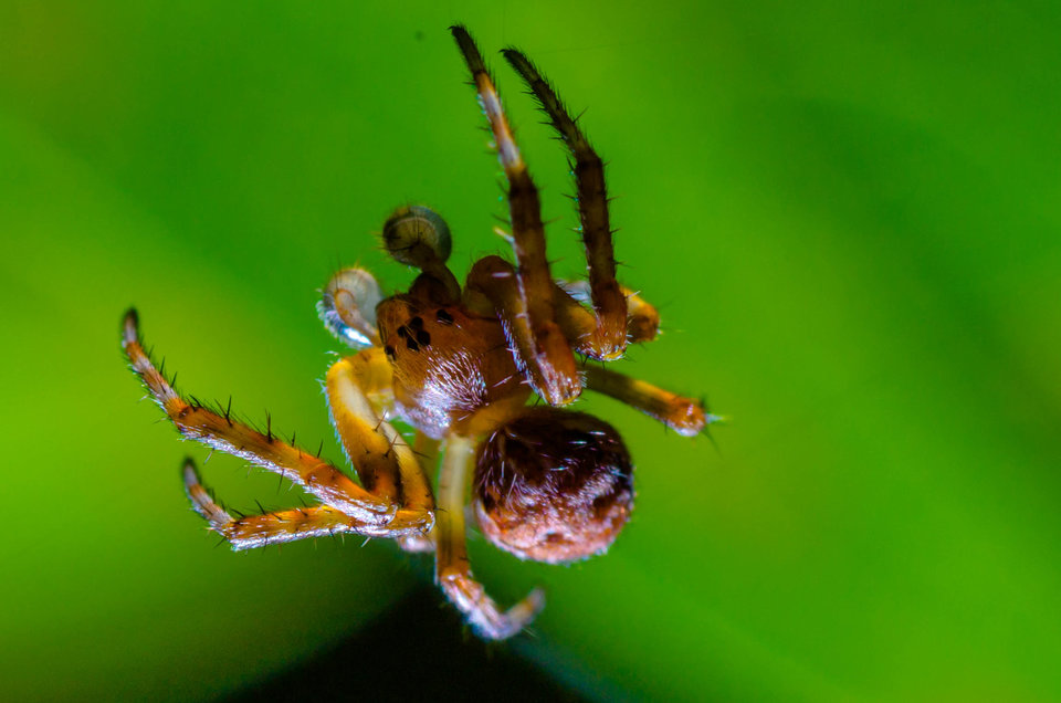 No - piękny to on nie jest... - mystic