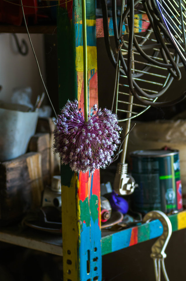 Kwiat warsztatu :) - mystic