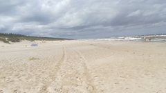 IMG_20180805_114850.jpg