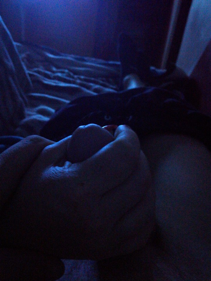 1534200370925505224453.jpg - Losmentos