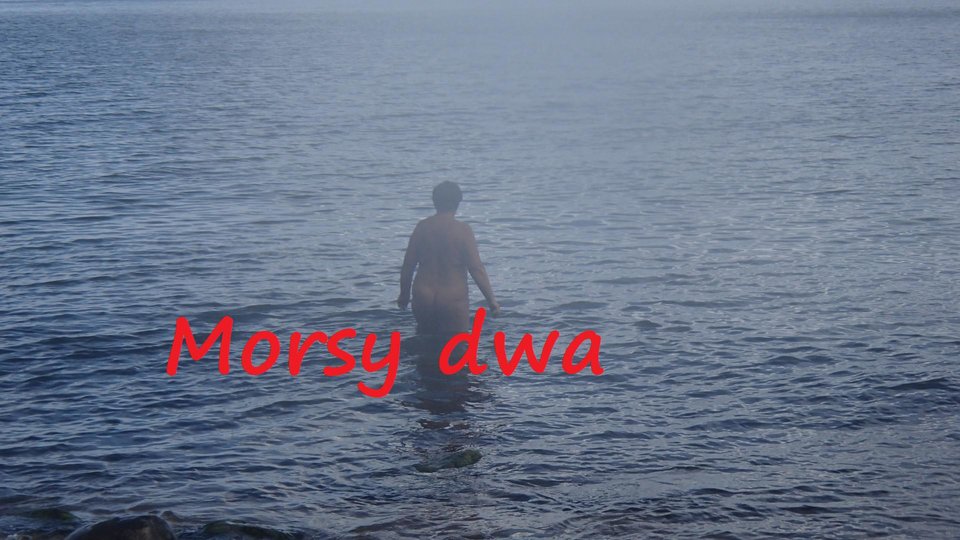 W morzu i nad morzem. - Morsy_dwa