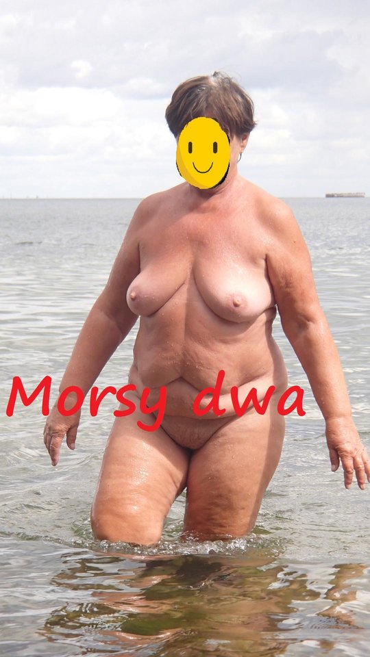 W morzu i nad morzem. - Morsy_dwa