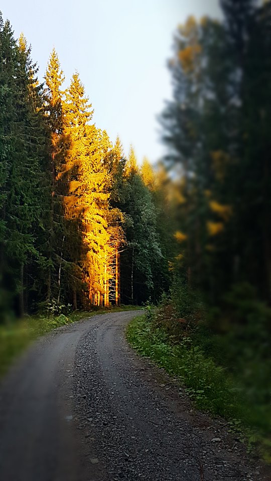 attach-43.jpg - oslo7876