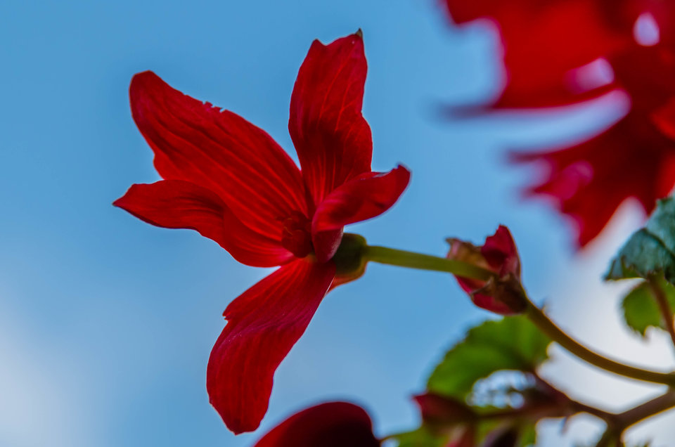 Na tle nieba - mystic