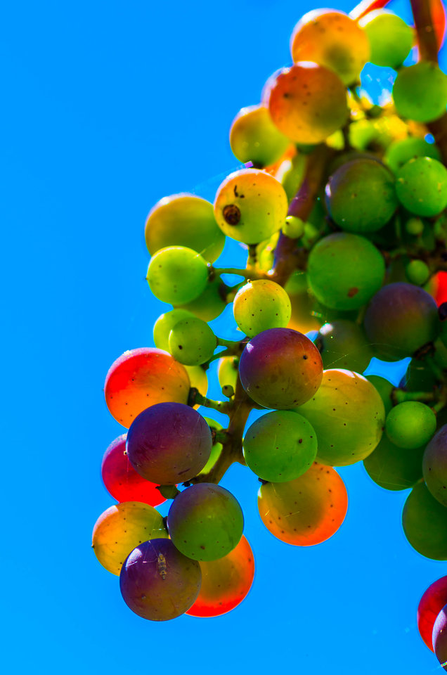 Colors of love - mystic