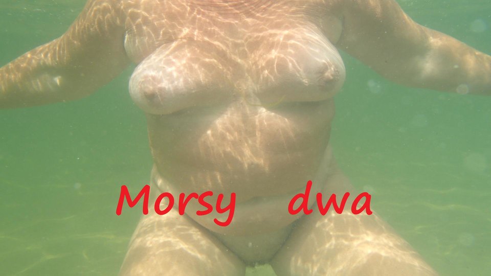 W podwodnym słoneczku ! - Morsy_dwa